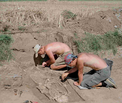 ilustracja dekoracyjna